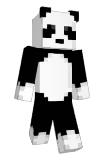 Matthew_50139 Minecraft avatar full body