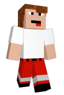 Matzelp99 Minecraft avatar full body