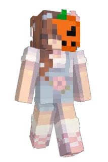 Maus1302 Minecraft avatar full body