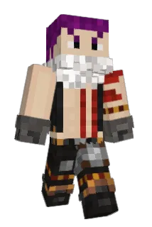 Max17137 Minecraft avatar full body