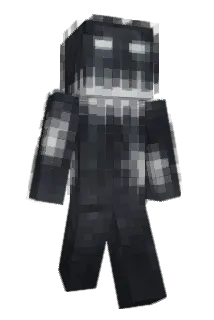 Max2940 Minecraft avatar full body