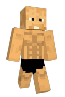 Max495 Minecraft avatar full body