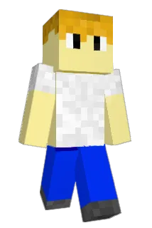 Max891 Minecraft avatar full body