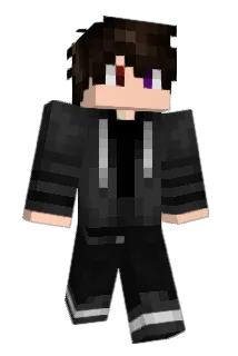 Max96270 Minecraft avatar full body