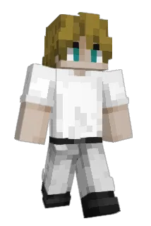 MaxAlwaysPlays Minecraft avatar full body