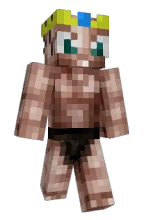 MaxD015 Minecraft avatar full body