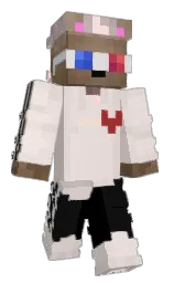 Custom render preview