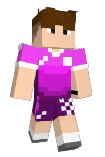 MaxJu1508 Minecraft avatar full body