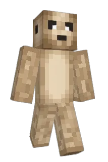 Max__1077 Minecraft avatar full body