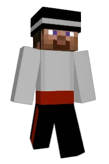 Maxhospes Minecraft avatar full body