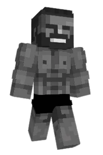 Maxiaid Minecraft avatar full body