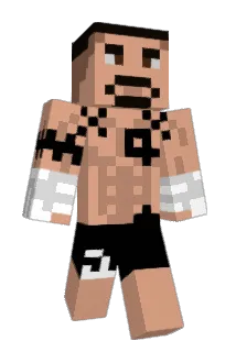 Maxipunct Minecraft avatar full body