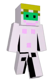 Maxxtc Minecraft avatar full body