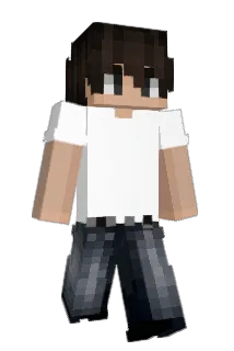 Maze24Maze24 Minecraft avatar full body