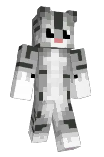 McBaum Minecraft avatar full body