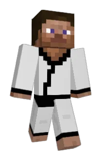 McFitti Minecraft avatar full body