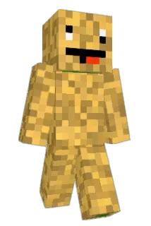 McHaydn Minecraft avatar full body