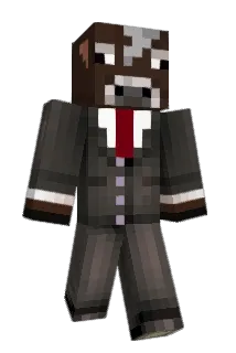 McShakeNBake Minecraft avatar full body