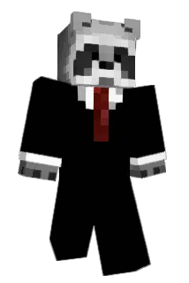 McWishWascher_ Minecraft avatar full body