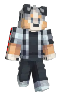 Meatn Minecraft avatar full body