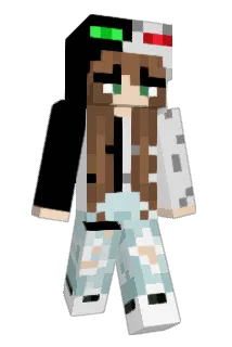 Medialab03 Minecraft avatar full body