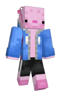 Medialab10 Minecraft avatar full body