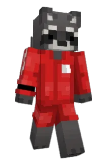 Medil Minecraft avatar full body