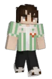 Mediocraft Minecraft avatar full body