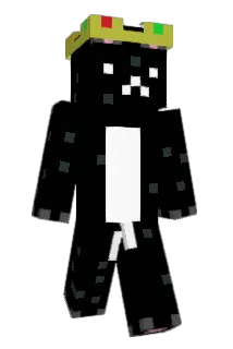 Meesmoes Minecraft avatar full body