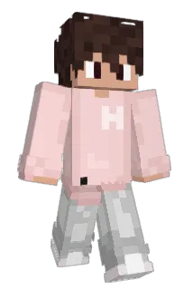 Meeting Minecraft avatar full body