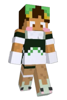 MegaColi Minecraft avatar full body