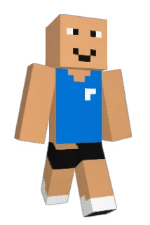MeiPrincess Minecraft avatar full body