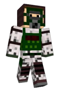 Meidomancer Minecraft avatar full body