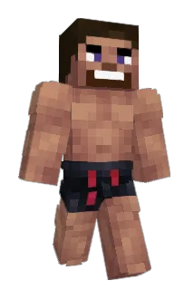 Meiguinho Minecraft avatar full body