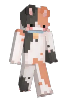 Meittsxn Minecraft avatar full body