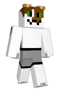 MeklejPlej Minecraft avatar full body