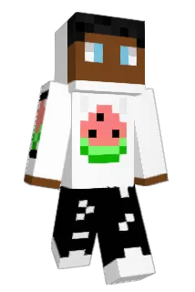 Mellowed_ Minecraft avatar full body