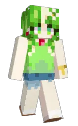 Custom render preview