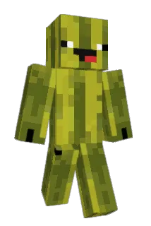 Melon_Melon Minecraft avatar full body