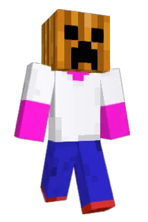 Meltonic Minecraft avatar full body