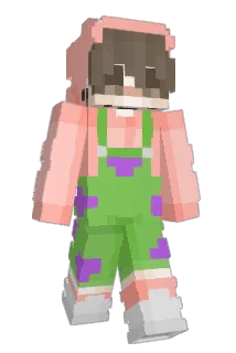 Mely343 Minecraft avatar full body