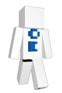 Meme289 Minecraft avatar full body