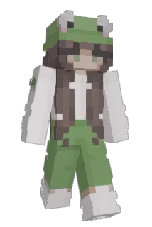 Meme_master1 Minecraft avatar full body