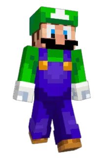 Memecat1212212 Minecraft avatar full body