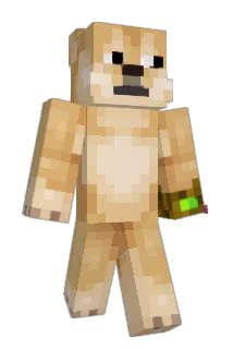 Memes1010 Minecraft avatar full body