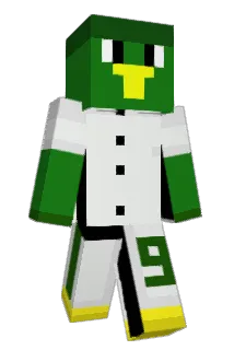 Memozky Minecraft avatar full body
