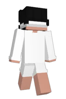 Mercenario Minecraft avatar full body