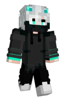 Mescudi28 Minecraft avatar full body