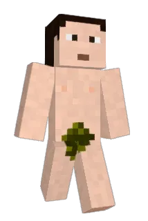 MestrArBed Minecraft avatar full body