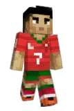 MetraCam Minecraft avatar full body